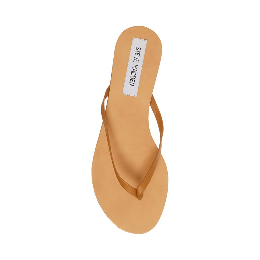 Chanclas Steve Madden Image Cuero Mujer Marrones | ES ZS912S